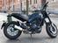 Benelli Leoncino
