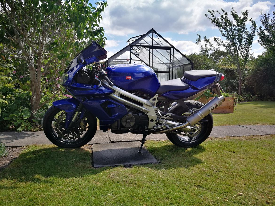 Aprilia SL 1000 Falco billede 2