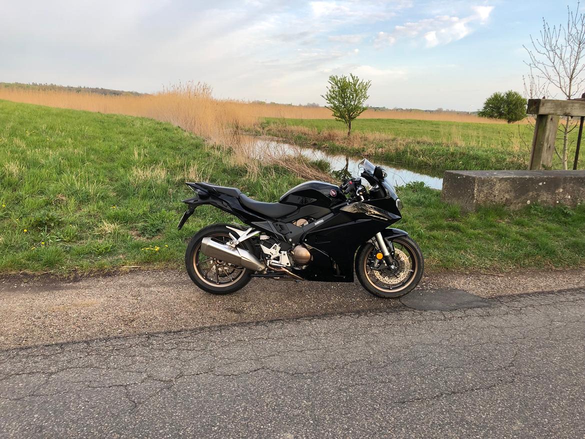 Honda VFR 800 F RC79E billede 5