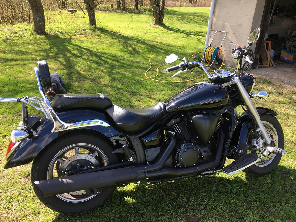 Yamaha XVS 1300A billede 2