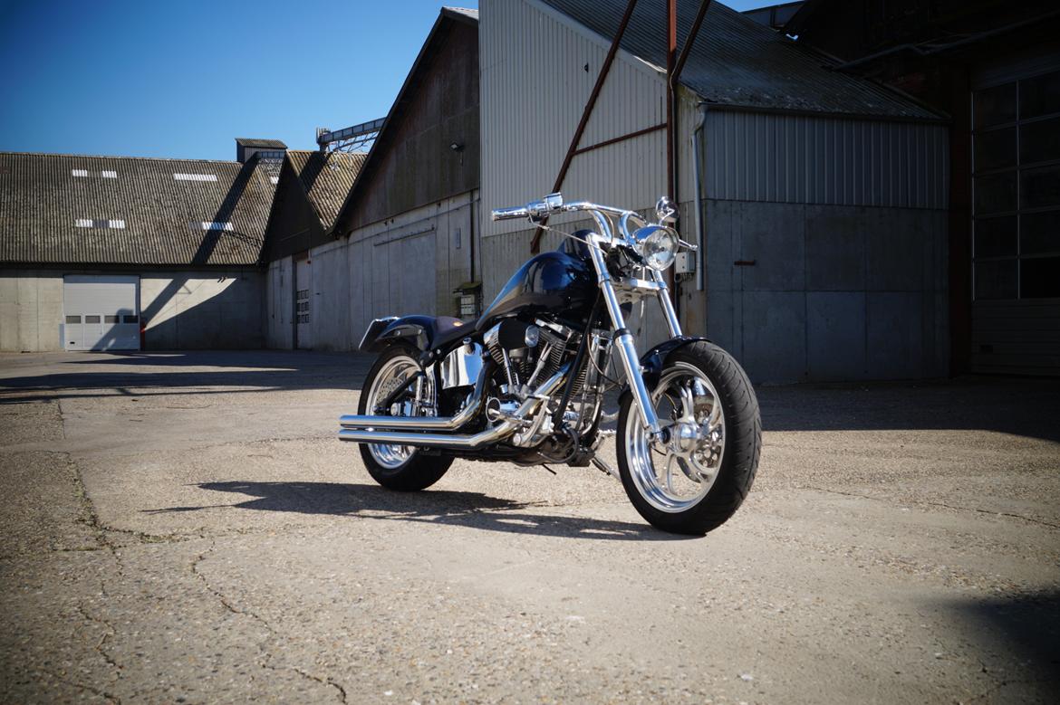Harley Davidson fxstc softail billede 2