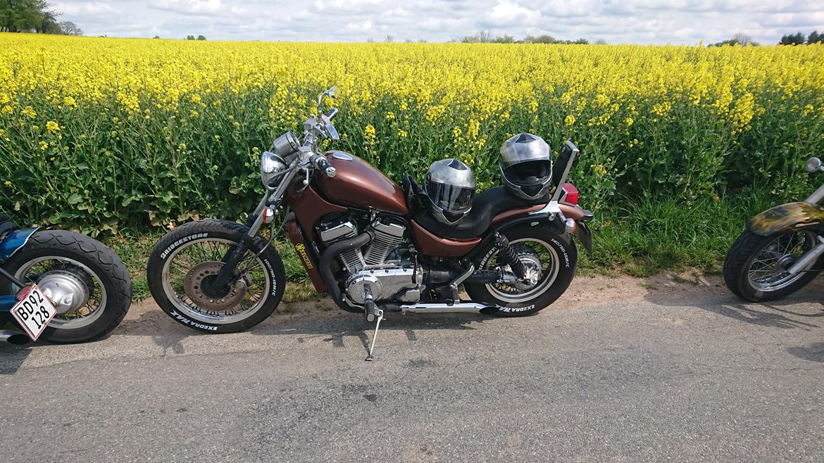 Suzuki Intruder VS700 GLG billede 6