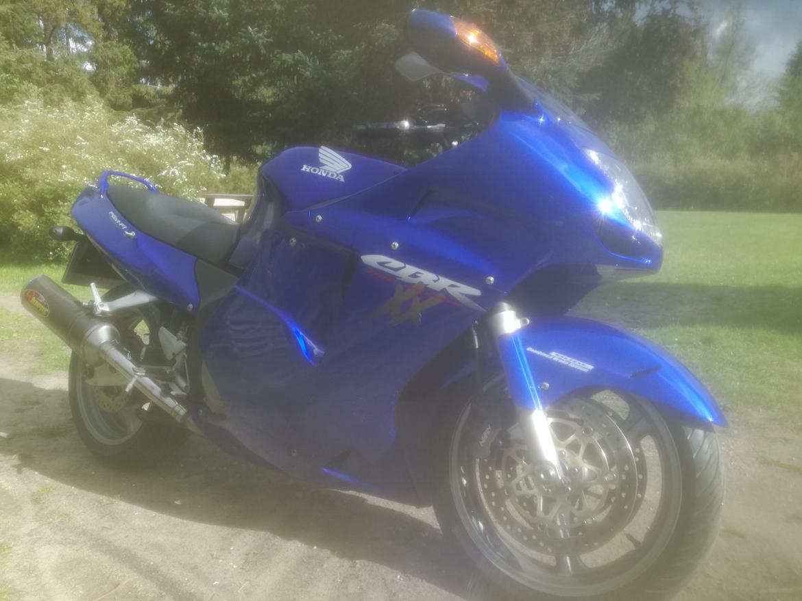 Honda CBR 1100 super XX black bird billede 14