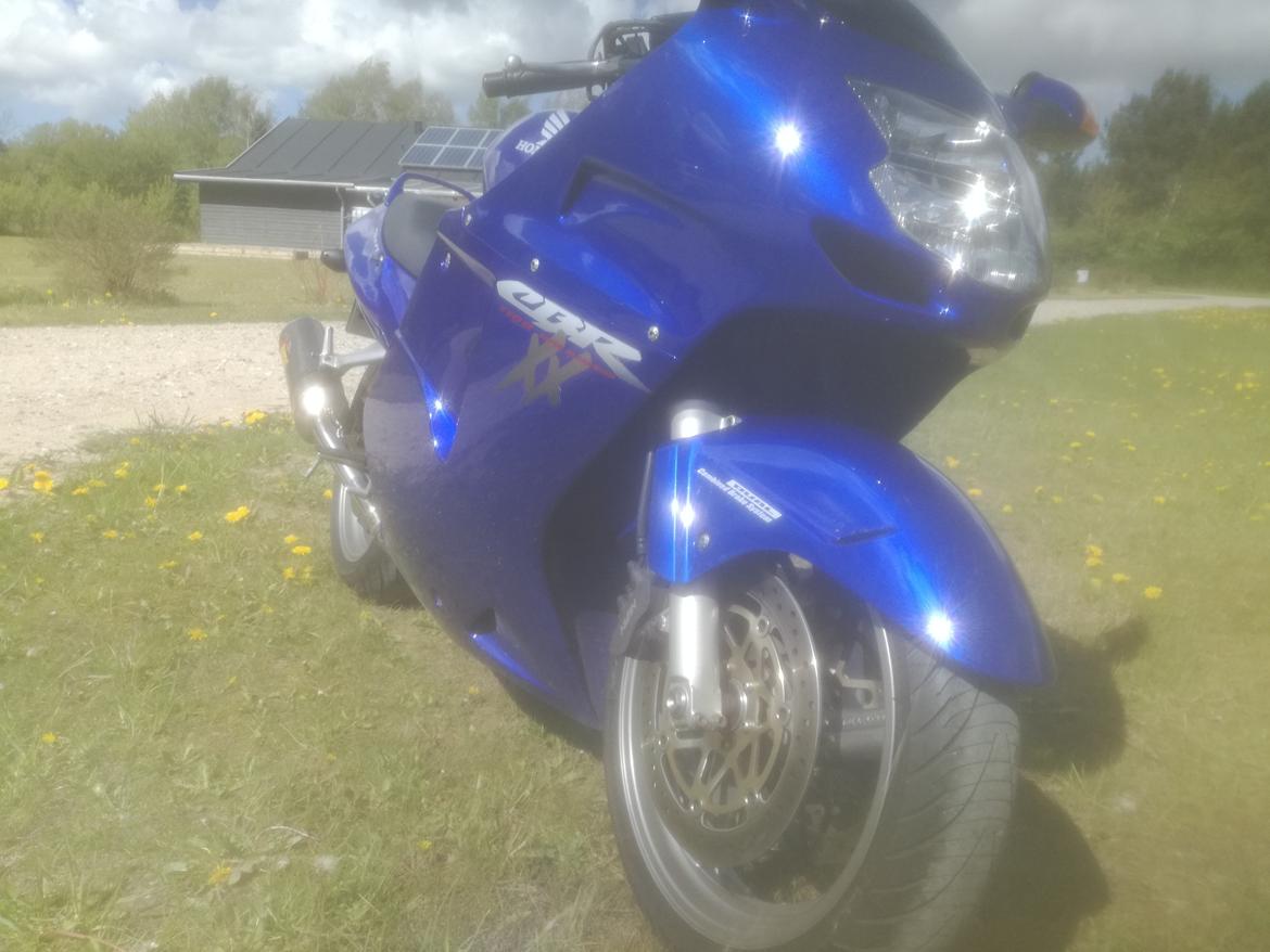 Honda CBR 1100 super XX black bird billede 13