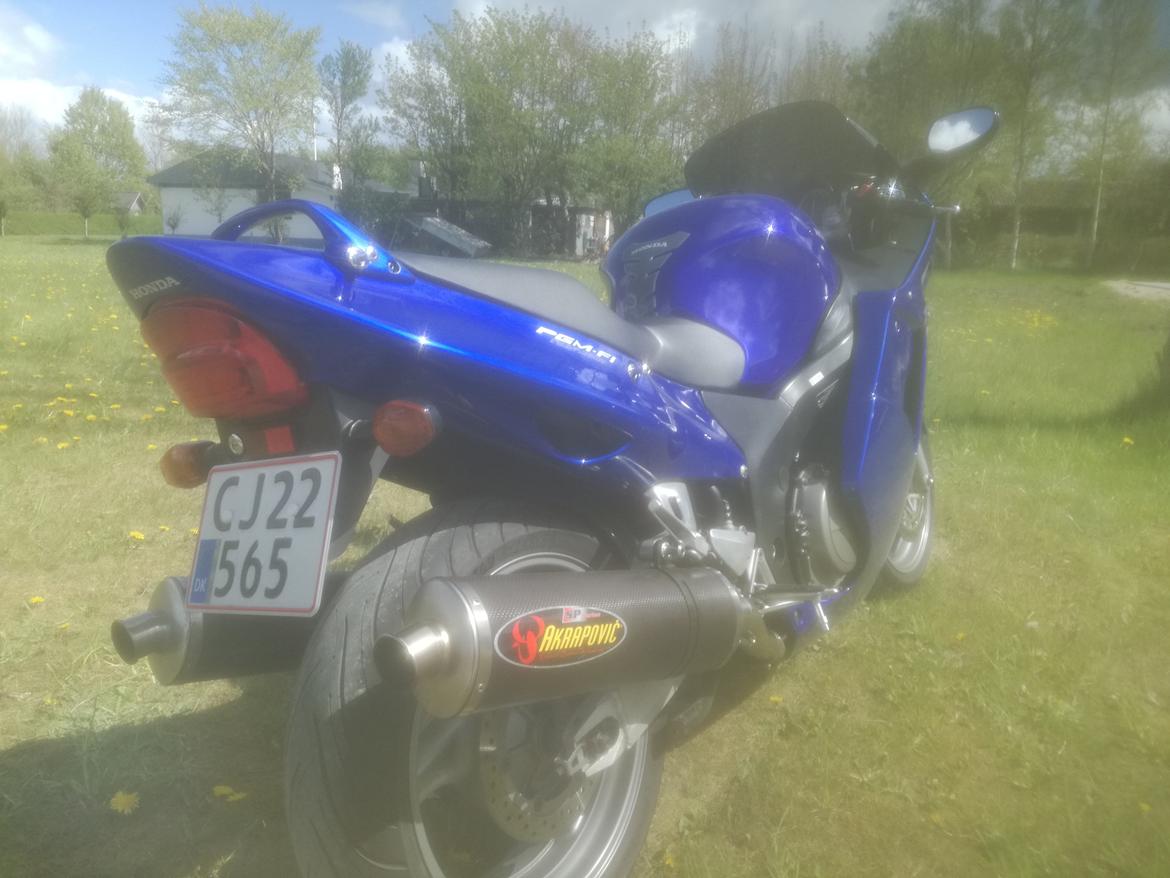 Honda CBR 1100 super XX black bird billede 9