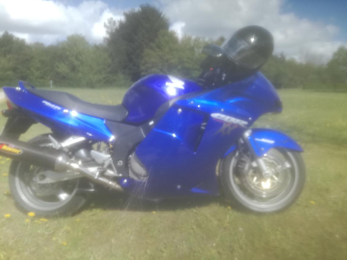 Honda CBR 1100 super XX black bird billede 15