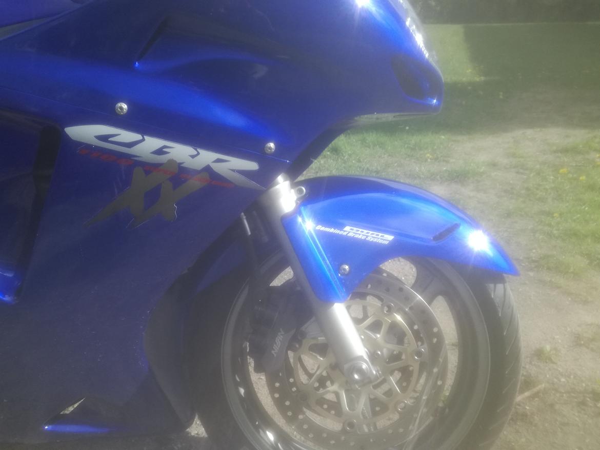 Honda CBR 1100 super XX black bird billede 16