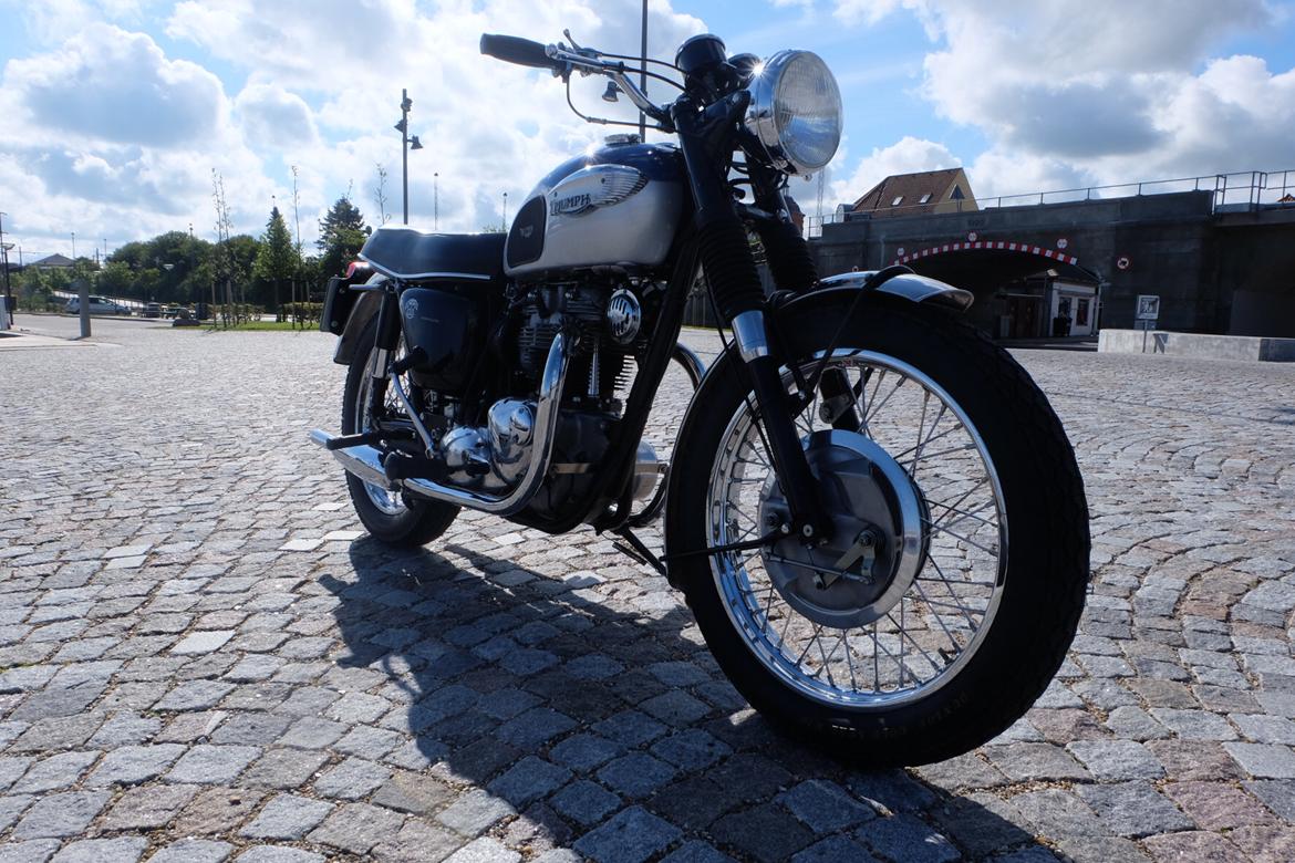 Triumph Trophy billede 6