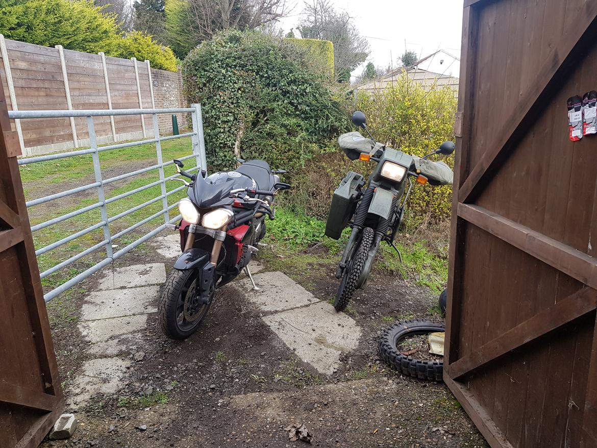 Triumph Speed Triple aka Space Monkey - Sommer og vinter ged..... meget lige som Sabeltiger og  Chihuahua ... men de har lært at enes i værkstedet ;) billede 22