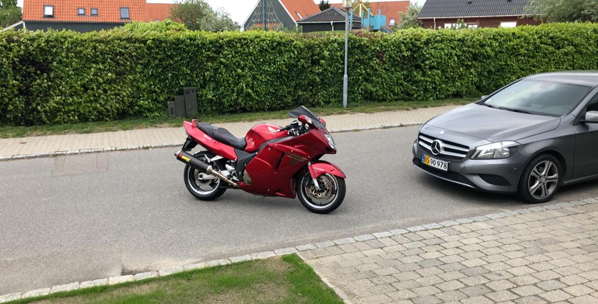 Honda Cbr 1100XX blackbird billede 4