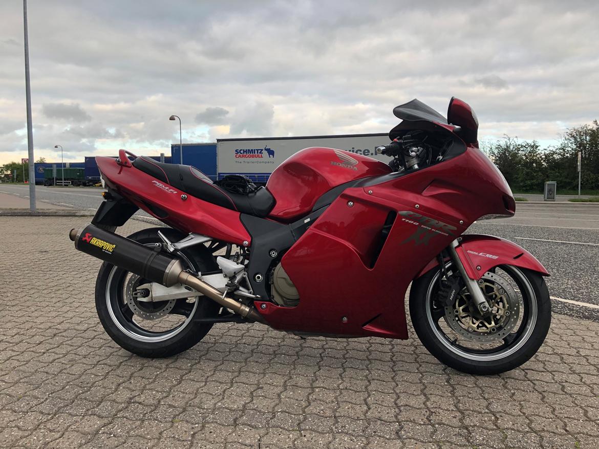 Honda Cbr 1100XX blackbird billede 5