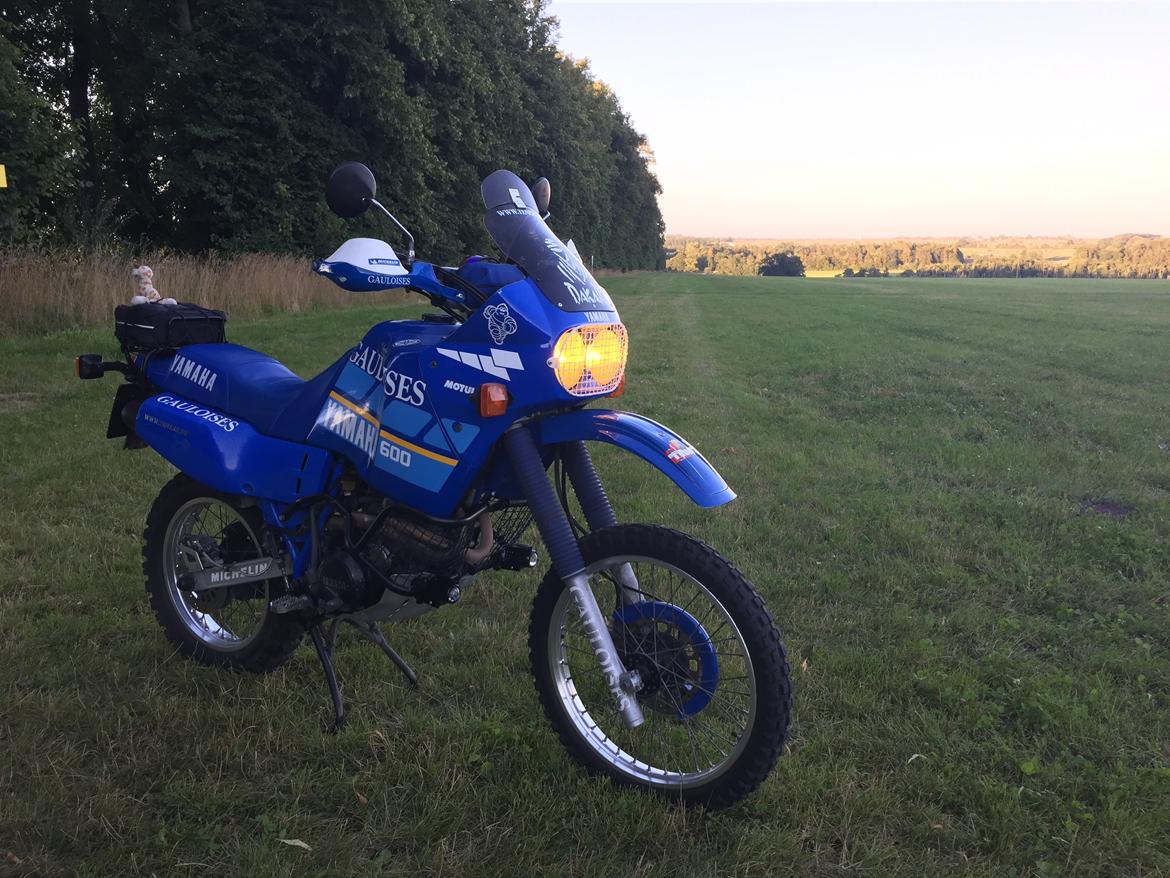 Yamaha XT 600 Z Tenere 3AJ billede 1