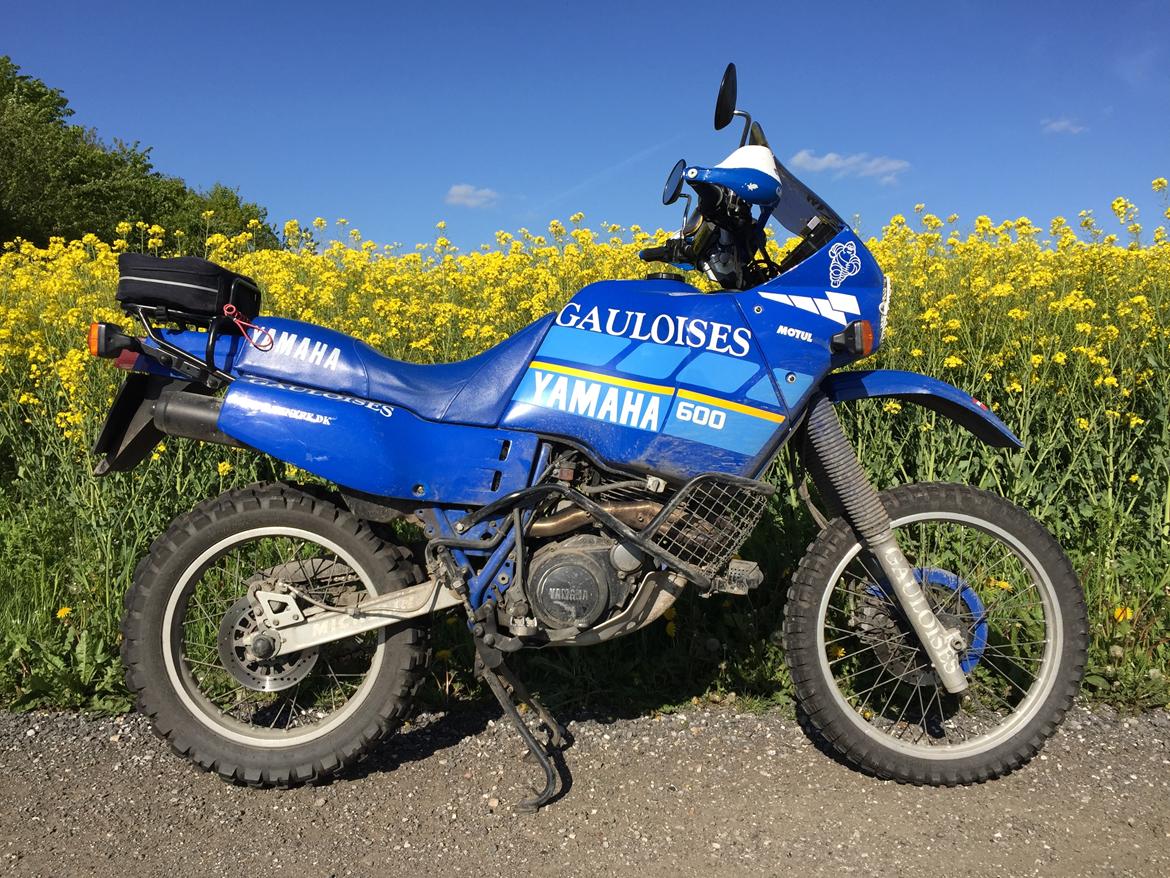 Yamaha XT 600 Z Tenere 3AJ billede 28