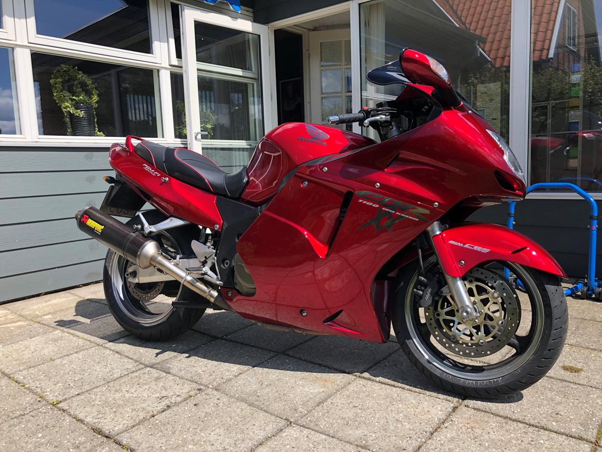 Honda Cbr 1100XX blackbird billede 14