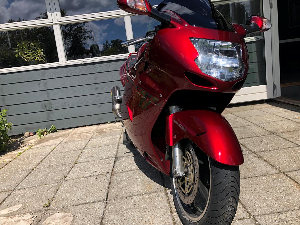 Honda Cbr 1100XX blackbird billede 15