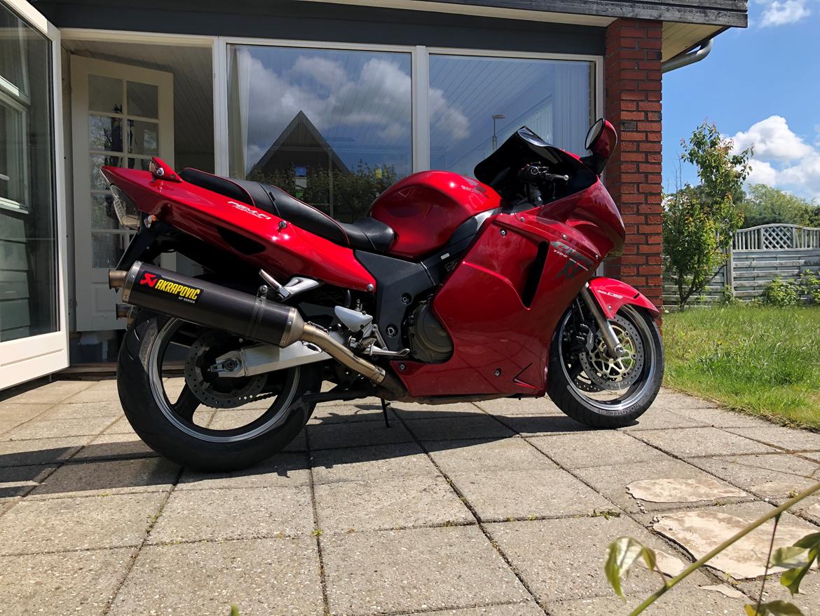 Honda Cbr 1100XX blackbird billede 19