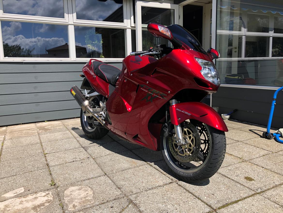 Honda Cbr 1100XX blackbird billede 17