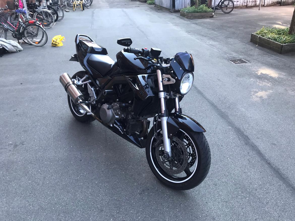 Suzuki SV1000 N K7 billede 2