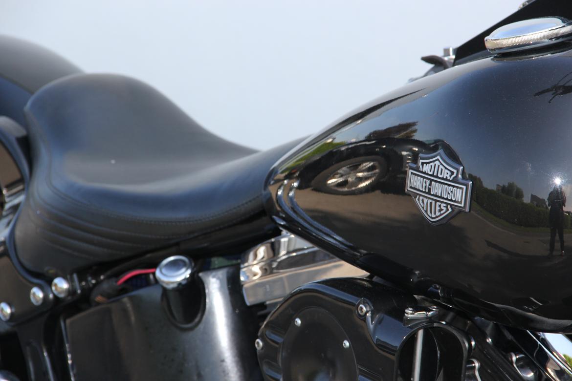 Harley Davidson FXST billede 3