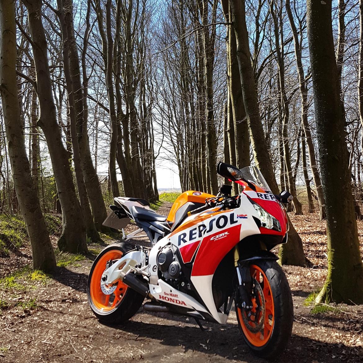 Honda Cbr 1000 RR (Solgt) billede 14