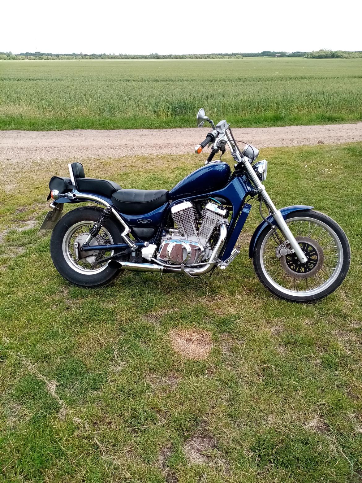 Suzuki Intruder vs 800  billede 6