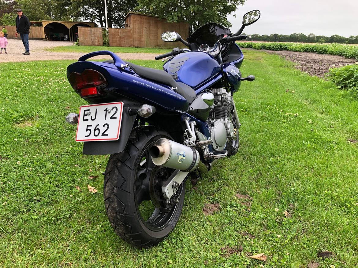 Suzuki Gsf 600 billede 10