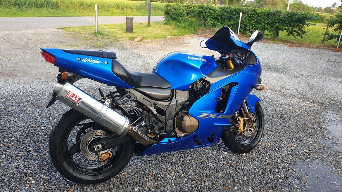 Kawasaki ZX12R Ninja billede 19