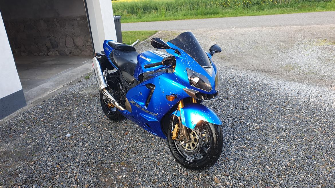 Kawasaki ZX12R Ninja billede 22