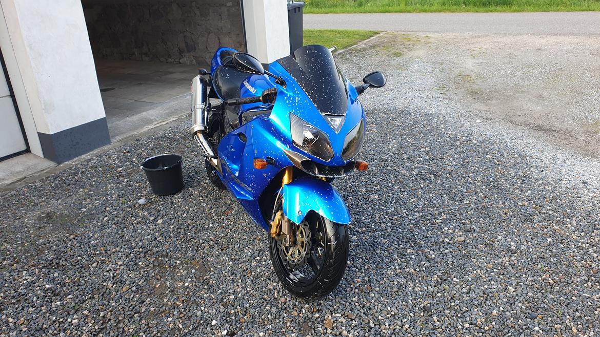 Kawasaki ZX12R Ninja billede 24