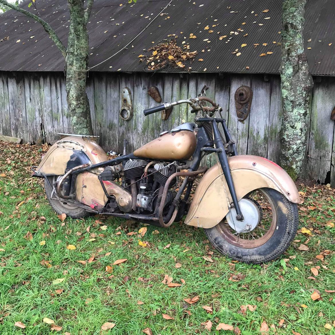 Indian Chief - barnfind billede 25