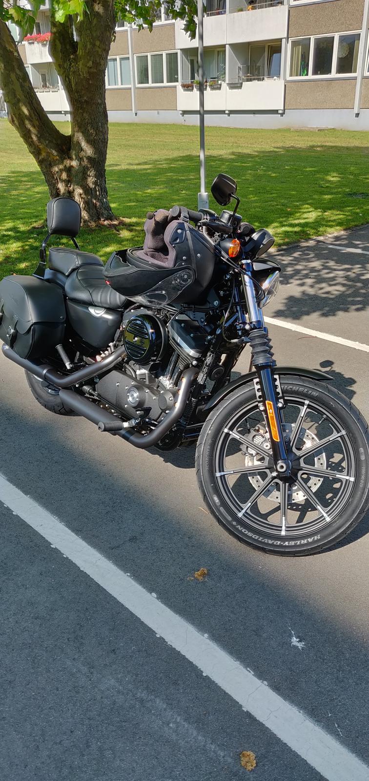 Harley Davidson XL883N billede 7