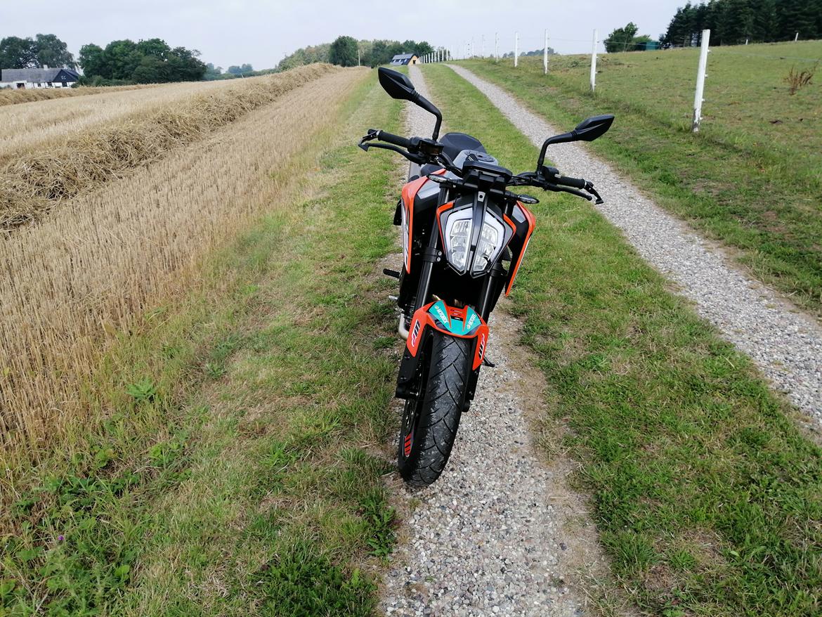 KTM duke 790 billede 22