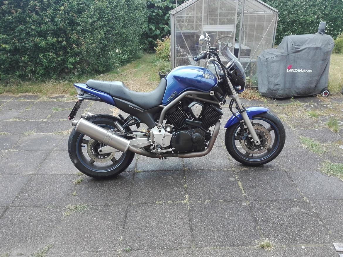 Yamaha BT 1100 Bulldog billede 4
