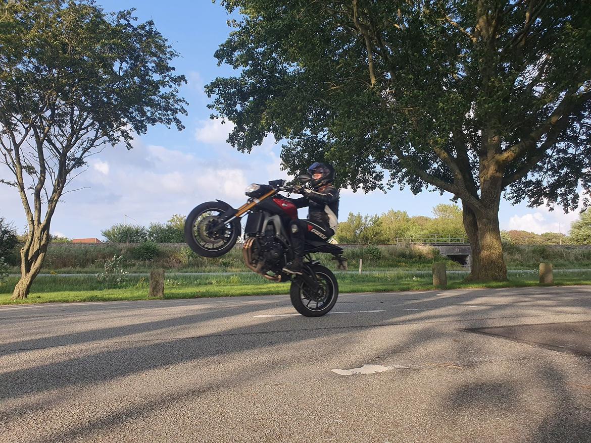 Yamaha MT 09 billede 2