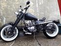 Jinlun Costum Bobber