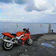 Honda Vtr1000 firestorm