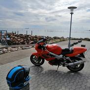Honda Vtr1000 firestorm