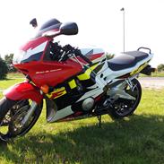 Honda CBR 600 F3