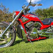 Harley Davidson V-Rod Screamin Eagle