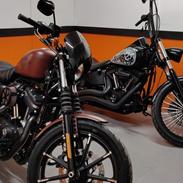 Harley Davidson Sportster 883