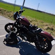 Harley Davidson Sportster 883