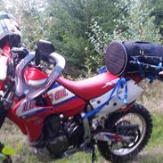 Honda XR650R