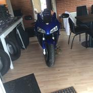 Honda CBR 600RR