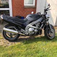 Kawasaki ZZR 600