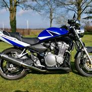 Suzuki GSF 600 Bandit Limited Edition