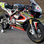 Universal Bucci Moto BR12GP