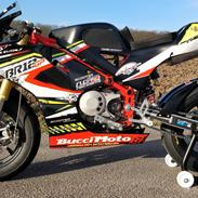 Universal Bucci Moto BR12GP