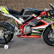 Universal Bucci Moto BR12GP
