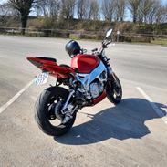 Yamaha FZR 1000