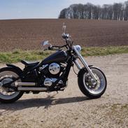 Kawasaki VN800 Classic